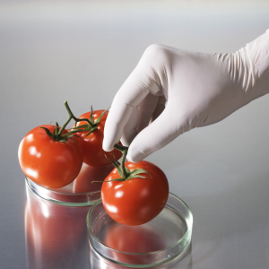 Latex examination gloves for healthcare and clinical PPE use